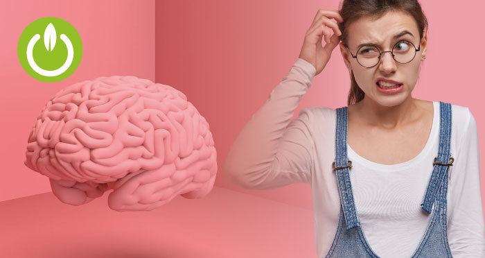 Alimentos que ayudan a nutrir el cerebro