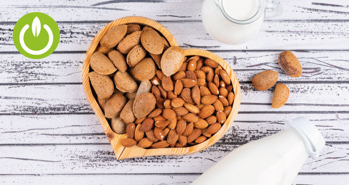 Leches vegetales y sus beneficios