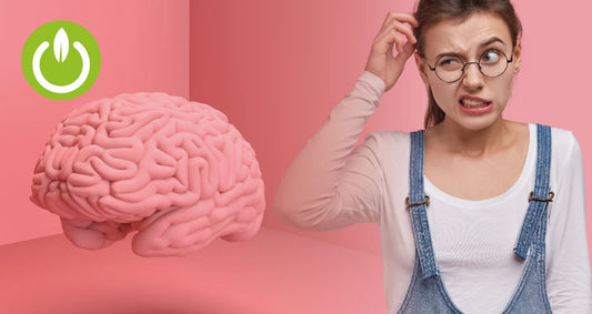 Alimentos que ayudan a nutrir el cerebro
