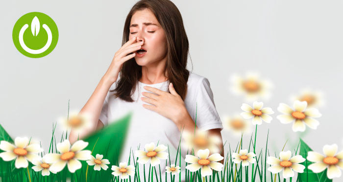 Cómo aliviar las alergias estacionales de manera natural