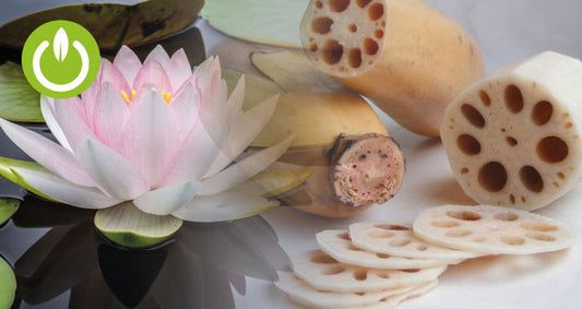 Raíz de Flor de Loto: Beneficios y receta Kuvings
