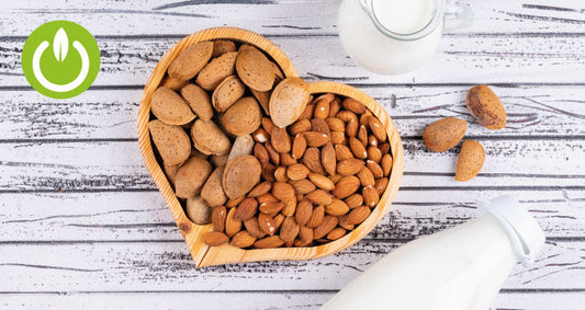 Leches vegetales y sus beneficios